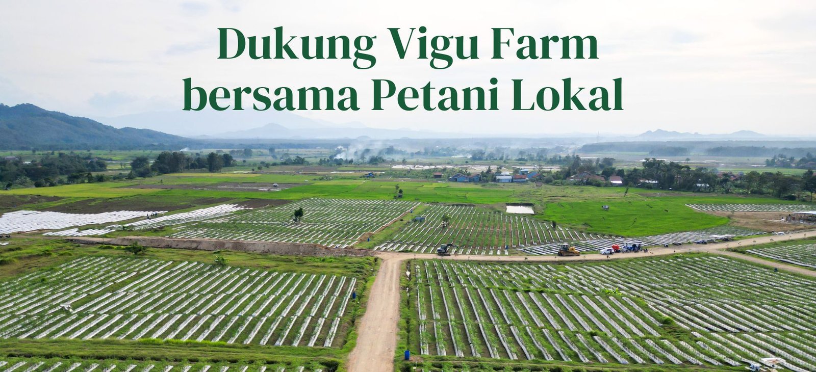 hero-petani